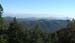 mt_tam