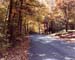 timber_road_mount_gretna